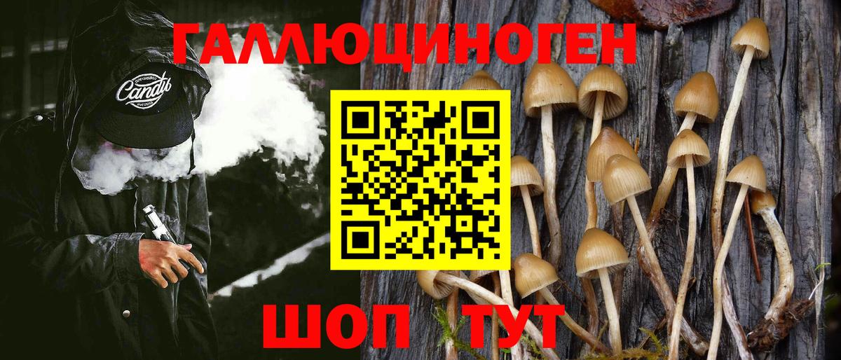 Псилоцибиновые грибы Psilocybine cubensis  что такое наркотик  Ленинск-Кузнецкий  Вход с VPN 